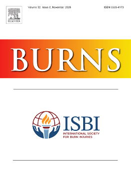 Burns : journal of the International Society for Burn Injuries